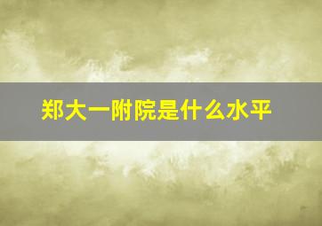 郑大一附院是什么水平