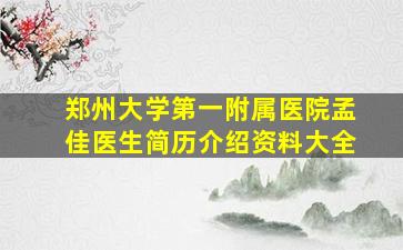 郑州大学第一附属医院孟佳医生简历介绍资料大全