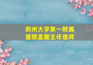 郑州大学第一附属医院孟醒主任医师