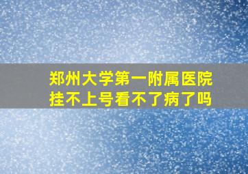 郑州大学第一附属医院挂不上号看不了病了吗