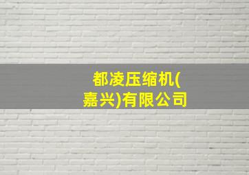 都凌压缩机(嘉兴)有限公司