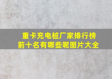 重卡充电桩厂家排行榜前十名有哪些呢图片大全