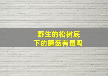 野生的松树底下的蘑菇有毒吗