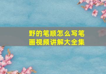 野的笔顺怎么写笔画视频讲解大全集