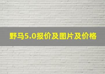 野马5.0报价及图片及价格