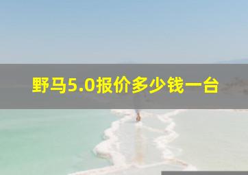 野马5.0报价多少钱一台