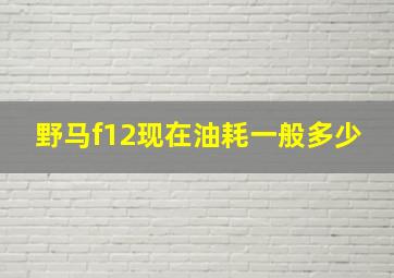 野马f12现在油耗一般多少