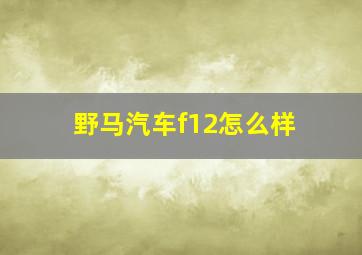 野马汽车f12怎么样