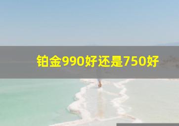 铂金990好还是750好