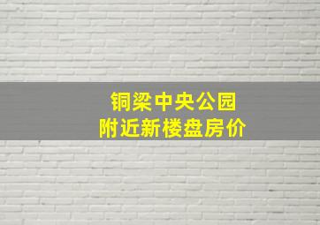 铜梁中央公园附近新楼盘房价