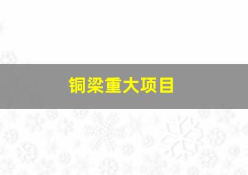 铜梁重大项目