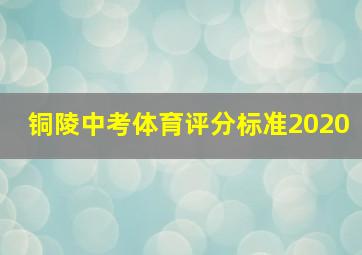 铜陵中考体育评分标准2020