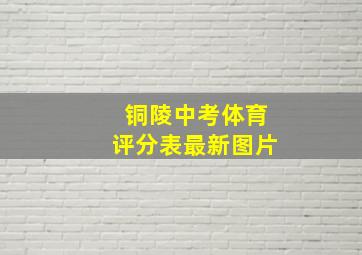 铜陵中考体育评分表最新图片