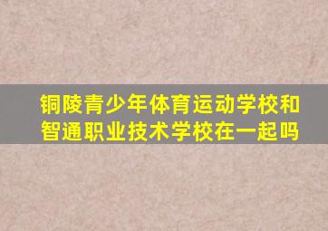 铜陵青少年体育运动学校和智通职业技术学校在一起吗