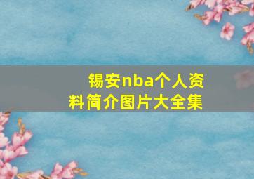 锡安nba个人资料简介图片大全集