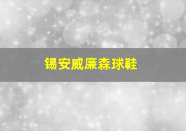 锡安威廉森球鞋