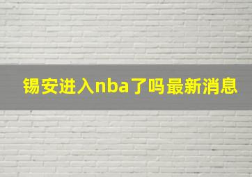 锡安进入nba了吗最新消息