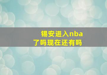 锡安进入nba了吗现在还有吗