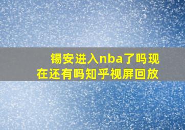 锡安进入nba了吗现在还有吗知乎视屏回放