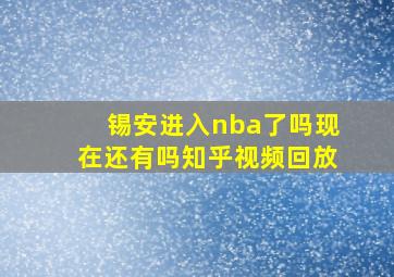 锡安进入nba了吗现在还有吗知乎视频回放