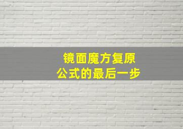 镜面魔方复原公式的最后一步