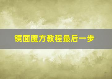 镜面魔方教程最后一步