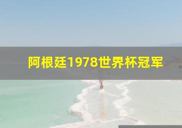 阿根廷1978世界杯冠军