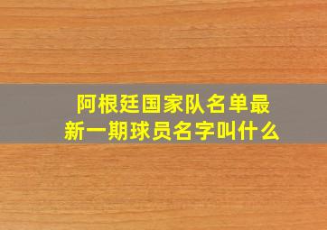 阿根廷国家队名单最新一期球员名字叫什么