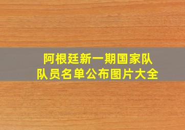 阿根廷新一期国家队队员名单公布图片大全