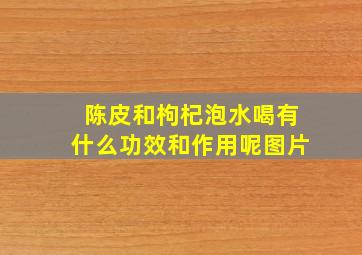 陈皮和枸杞泡水喝有什么功效和作用呢图片