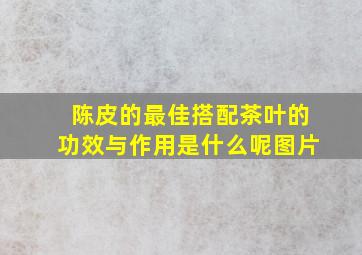 陈皮的最佳搭配茶叶的功效与作用是什么呢图片