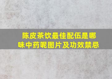 陈皮茶饮最佳配伍是哪味中药呢图片及功效禁忌