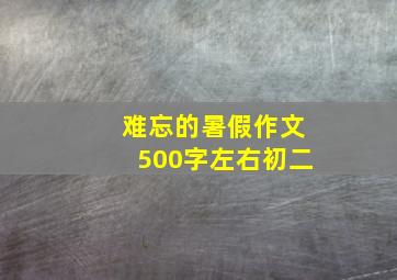 难忘的暑假作文500字左右初二