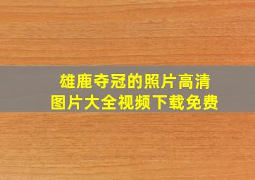 雄鹿夺冠的照片高清图片大全视频下载免费