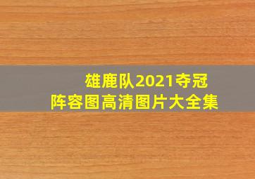 雄鹿队2021夺冠阵容图高清图片大全集