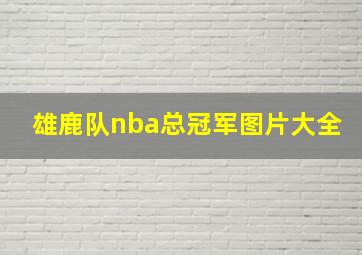 雄鹿队nba总冠军图片大全