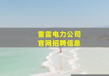 雷霆电力公司官网招聘信息