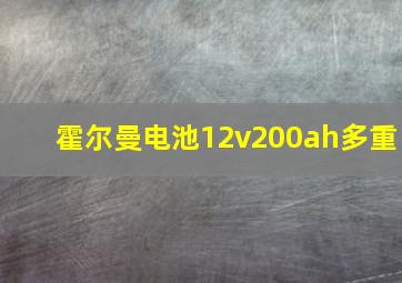 霍尔曼电池12v200ah多重