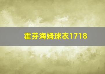 霍芬海姆球衣1718