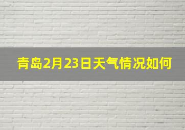 青岛2月23日天气情况如何