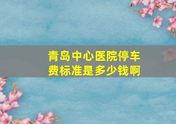 青岛中心医院停车费标准是多少钱啊