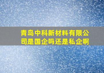 青岛中科新材料有限公司是国企吗还是私企啊