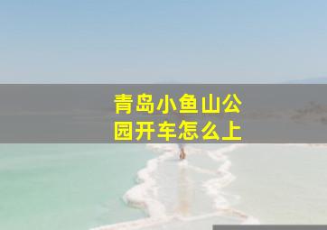 青岛小鱼山公园开车怎么上