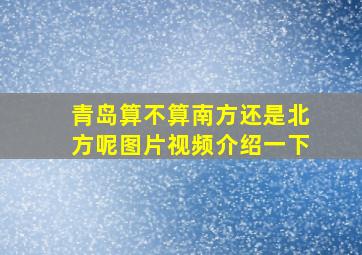 青岛算不算南方还是北方呢图片视频介绍一下