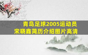 青岛足球2005运动员宋晓鑫简历介绍图片高清