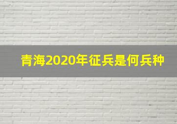 青海2020年征兵是何兵种