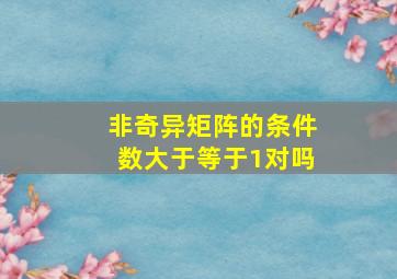 非奇异矩阵的条件数大于等于1对吗