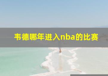 韦德哪年进入nba的比赛