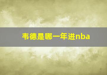 韦德是哪一年进nba