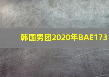 韩国男团2020年BAE173